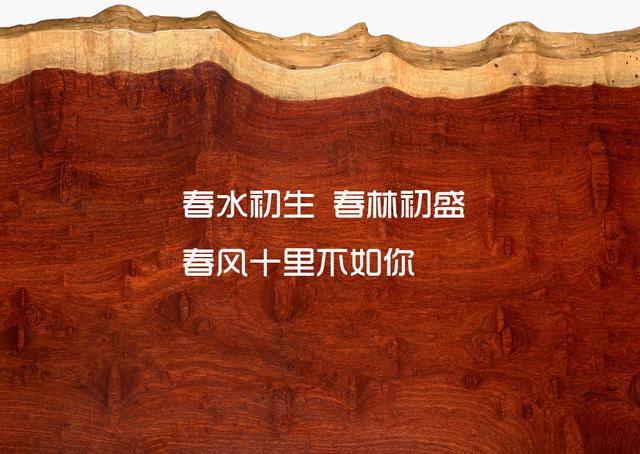 喜欢一个人是藏不住的