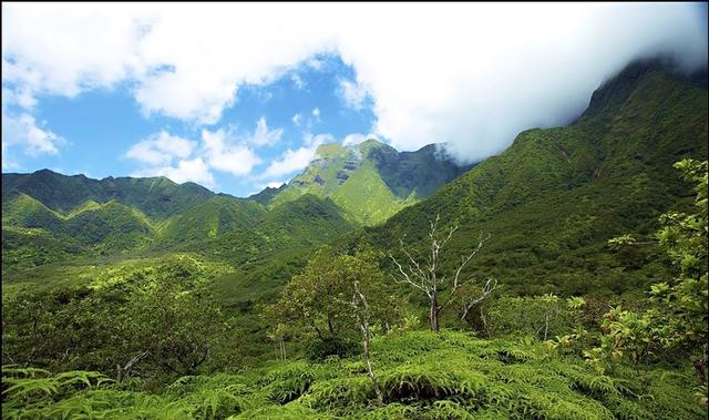 人在没钱时，才能看清人心