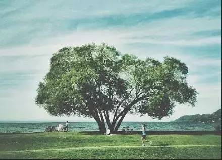 有一天你会明白，人不能太善良