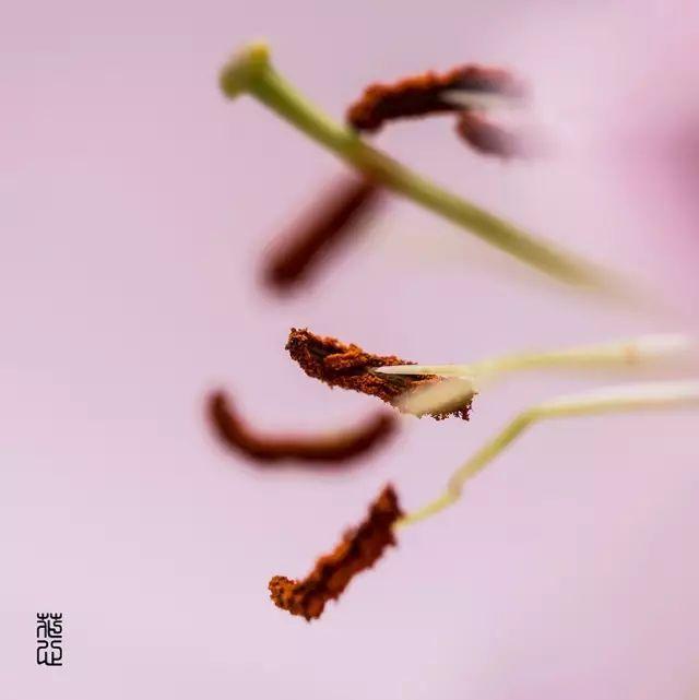 生命中的感谢，真美