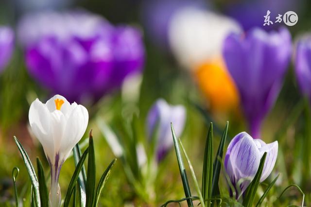 人生再难,也要挺过去 人生再难,也要挺过去