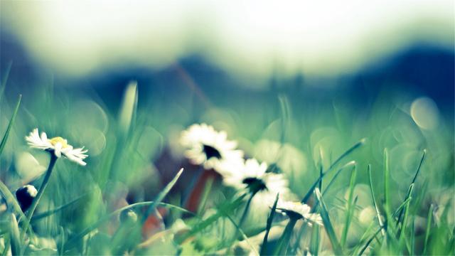 做人需牢记这六不要