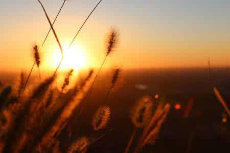 村上春树那些治愈人心的句子