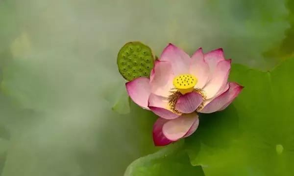 人生，一边拥有，一边失去