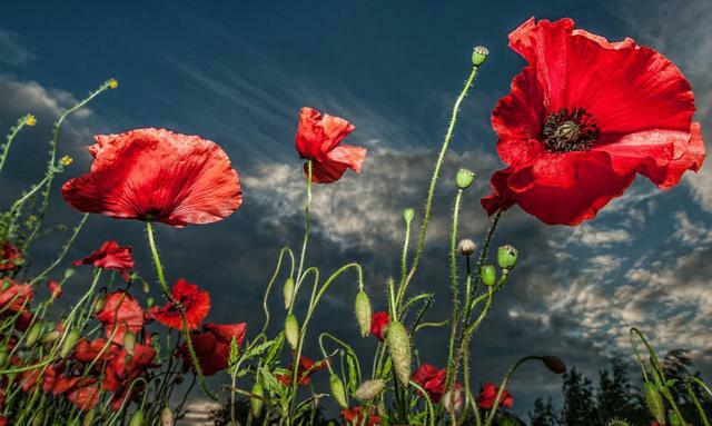 人生,不要想得那么多 人生,不要想得那么多