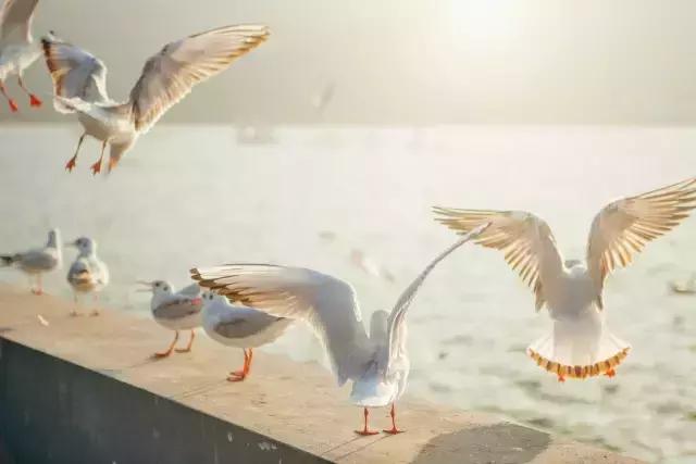 七月再见,八月你好 七月再见,八月你好