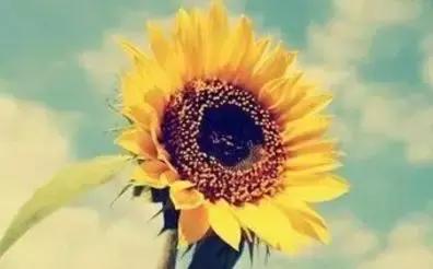 这段话,说进多少人心里 这段话,说进多少人心里