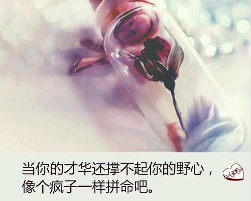 十二句励志能量句子