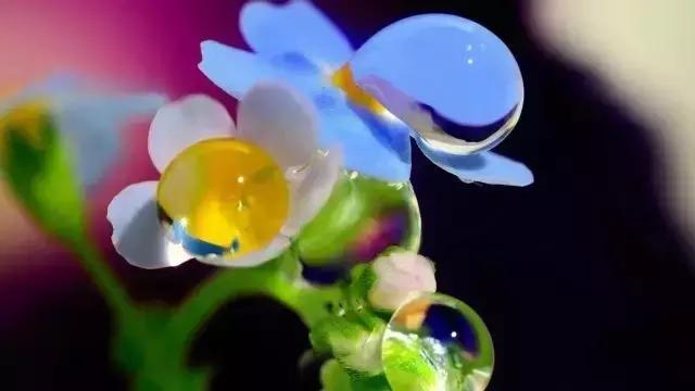 命里有时我相守，命里无时我不求
