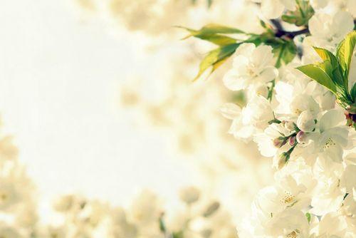 治愈自己心情的精美语录