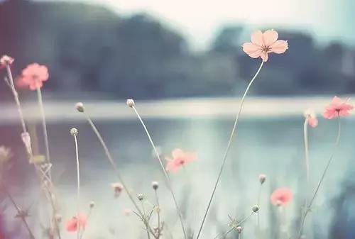 放下吧！一切没有想象的那么难