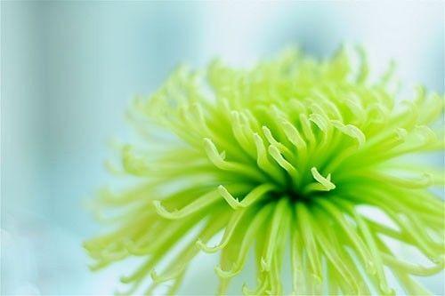 珍惜你现在所拥有的，在他们变成曾经拥有前