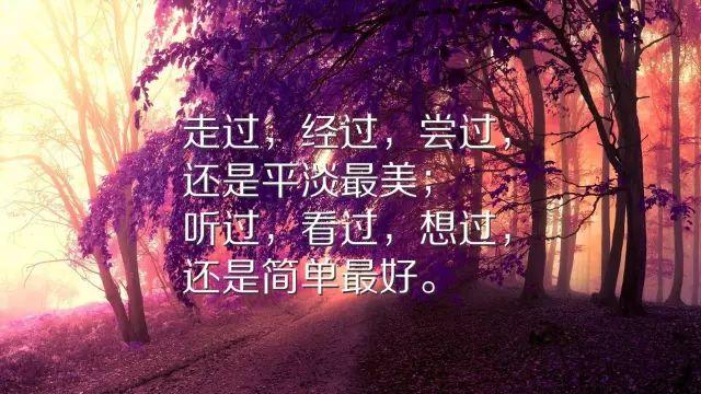 深刻透彻的一句话经典语录，字字珠玑，值得珍藏