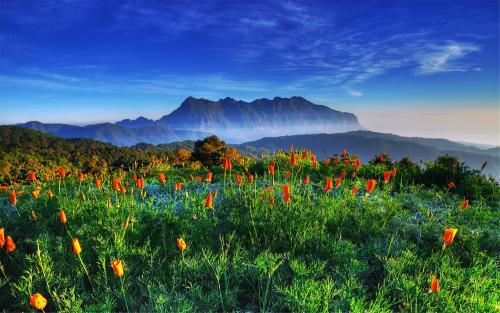 想要有朋友，先要够朋友
