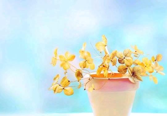 qq空间感悟人生的图片说说短语 qq空间感悟人生的图片说说短语