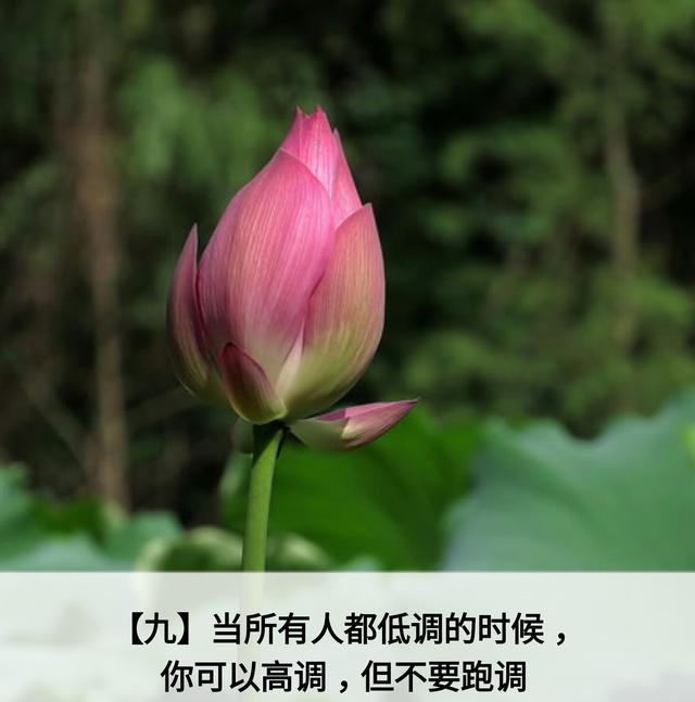 人生应该谨记的金言