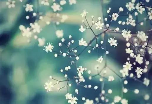 莫言:别在不喜欢你的人那丢了快乐 莫言:别在不喜欢你的人那丢了快乐