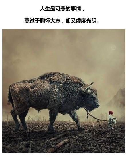 非常经典的网络语录