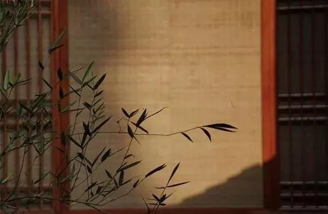 人到中年，回头看看