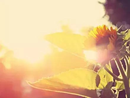 距离只是一个用来验证爱能走多远的测试