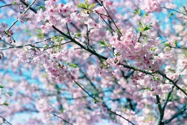 想要别人爱你的话，就要去爱别人，做一个可爱的人