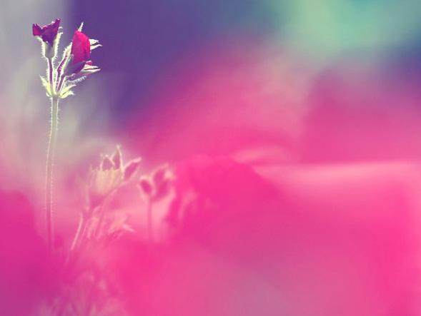 适合发说说的经典治愈系语录