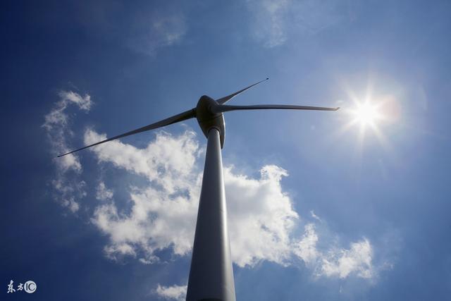 杨澜：人很少是被累死的，只有被烦死的