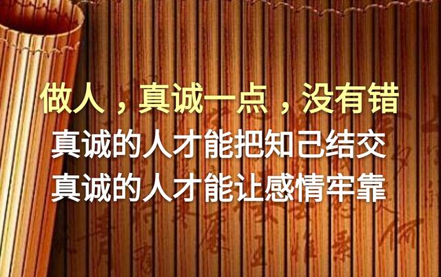 别总是欺负老实人