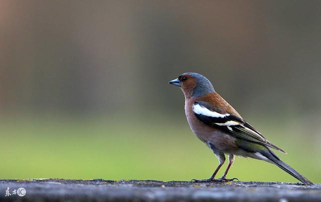 人生九悟,看完我也醒悟了 人生九悟,看完我也醒悟了