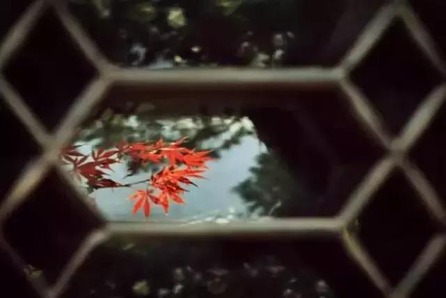 人心换人心，你真我更真