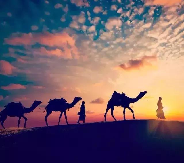 人到中年， 往前看没支撑，往后看有追兵