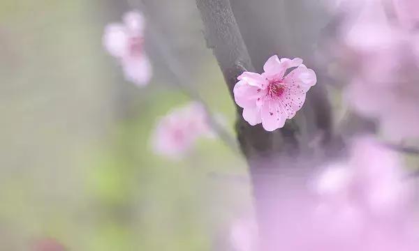 人心，不能冷落；感情，不容敷衍
