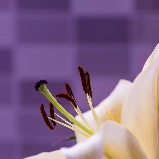 生命中的感谢，真美