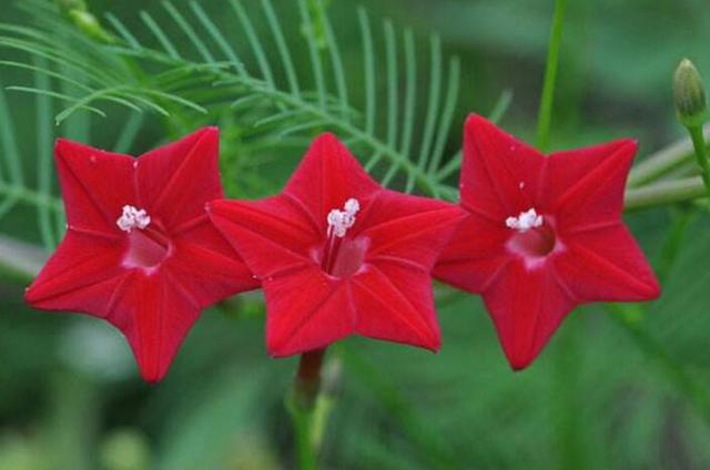 今天吃的亏，明天终将变成福报