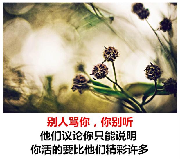 别人骂你，你别听；别人夸你，你别信