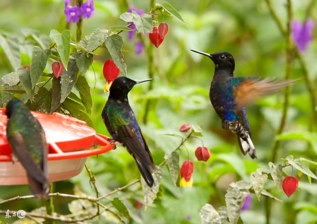 人生九悟,看完我也醒悟了 人生九悟,看完我也醒悟了