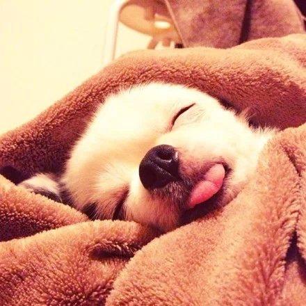 精选微信朋友圈语录 精选微信朋友圈语录