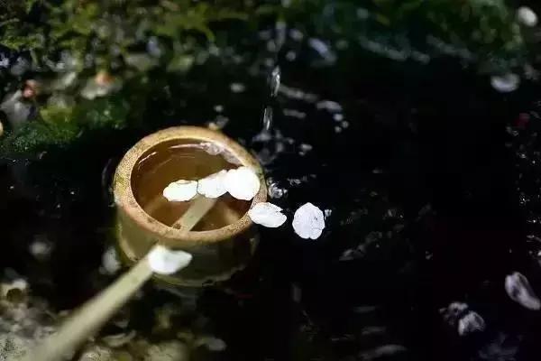 我会好好珍惜,真心和我相处的人