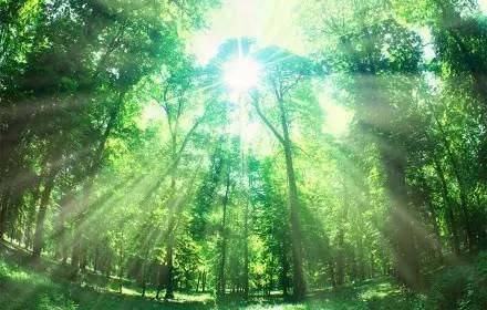 大度看人生，从容过日子