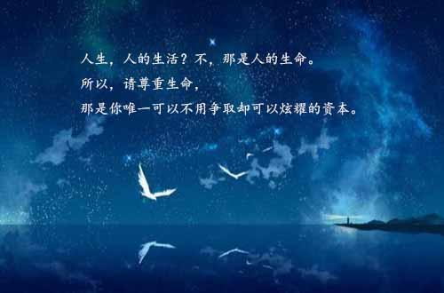 人生语录：十句让你看透人生的话，好好参悟