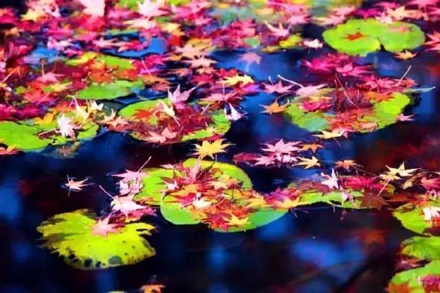 心态好，一切都好，这就是人生