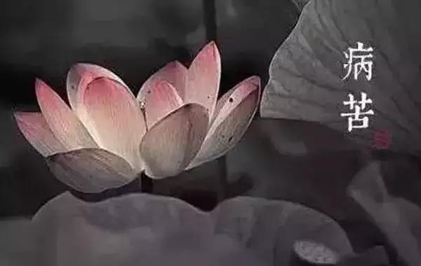 人生有八苦，说的真好