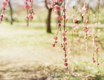 分享朋友圈好听到心醉的说说语录带图片