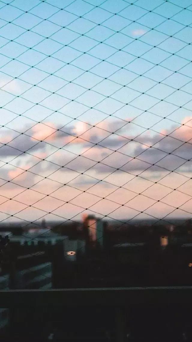 二十部名著，凝练的20句话，句句都是经典中经典