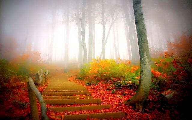 吃亏未必不是福 吃亏未必不是福