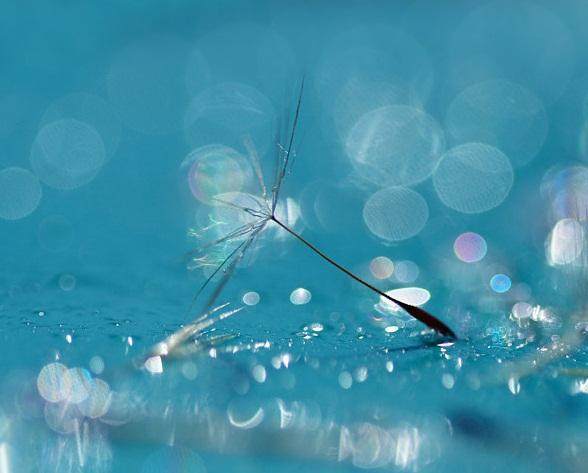 适合发说说的经典治愈系语录