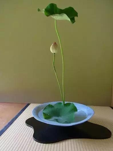 生命里需要这八戒