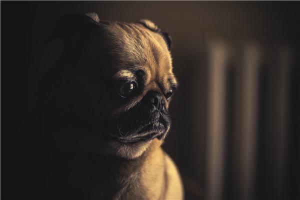 你就是一道风景，没必要在别人风景里面仰视