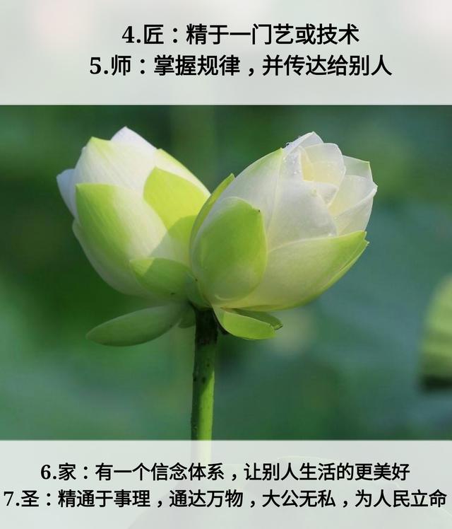 人生：7层次，7道坎，7恩人，7觉悟，7境界