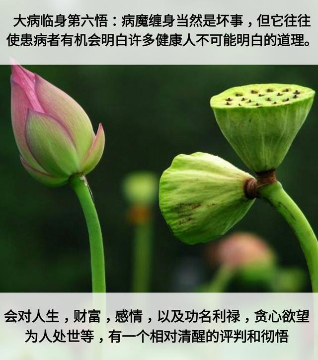 人生：7层次，7道坎，7恩人，7觉悟，7境界